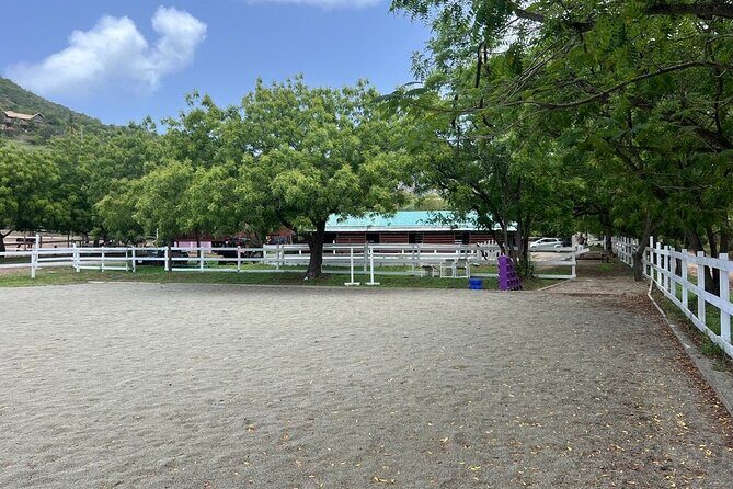 Antigua Horse Ride and Swim - The Short Trail Ride to the Secluded Beach