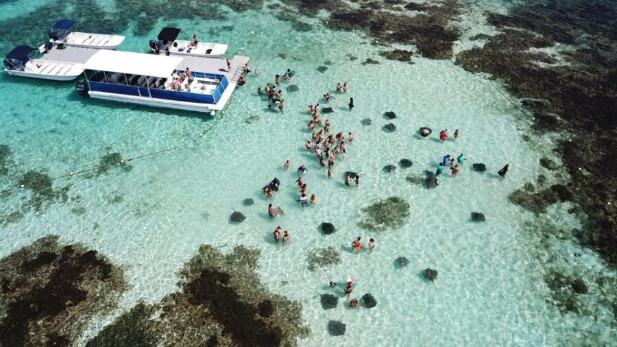 Antigua: Stingray City Experience with Round-Trip Transfer - Is this for you? Best matches and a couple of “maybe not” cases