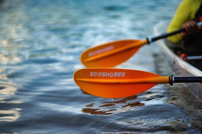 Clear Kayak Tour in Mangrove Antigua - Your 1-Hour Paddle: What to Expect From Start to Finish