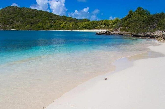 FANTASTIC Green Island and Sea Turtles - Half Day share boat trip - What You Really Get Included (Beyond the Nice-to-Haves)