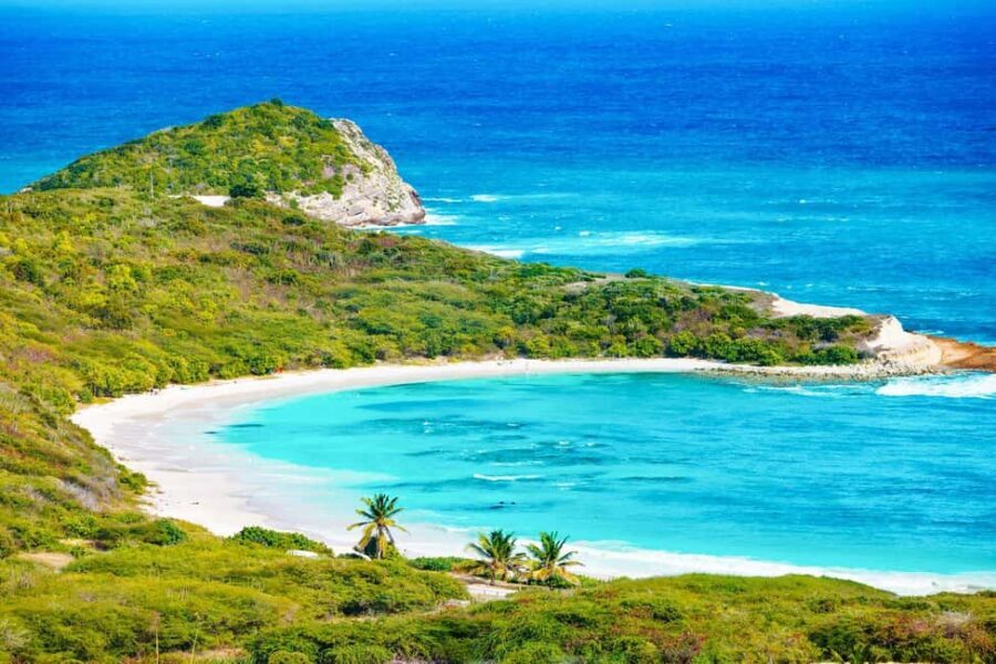 From St John's: Half Moon Bay Beach Half-Day Trip by Van - The van transfer from St John’s: smooth, central, and timed well