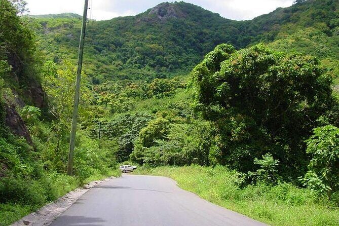 Half-Day Tour: A Taste of Paradise and History of Antigua - Food and drinks: small tastings that actually fit the day