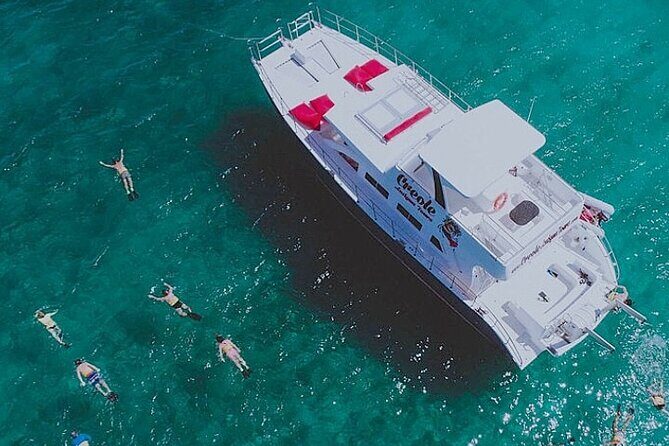 Snorkel - Lobster Lunch Cruise to Bird Island and Paradise Reef - Key things that make this cruise a hit