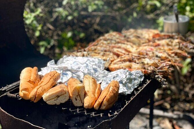 Snorkel - Lobster Lunch Cruise to Bird Island and Paradise Reef - How the Day Flows: Boat Ride, Two Snorkel Stops, and Island Beach Time
