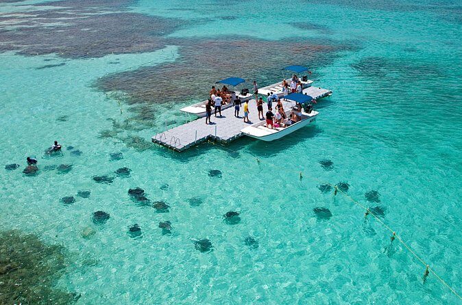 Stingray City - Meeting point, timing, and how to keep check-in smooth