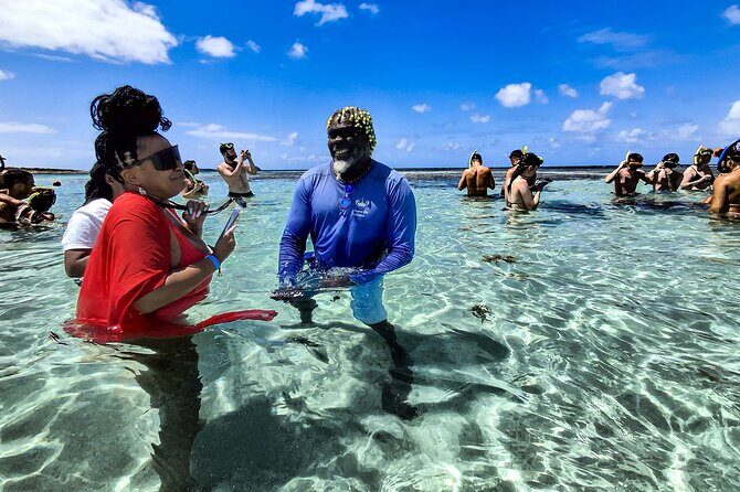 Stingray City Antigua for all the ages - ROUND TRIP INCLUDED - Small Details That Make or Break the Day: timing, tide, and comfort
