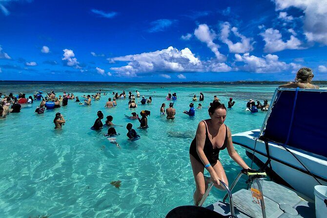 Stingray City Experience Antigua - Cruise Ship Passengers Edition - Key highlights you’ll care about