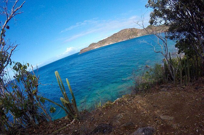 Trek Tours Hiking Experience in Antigua - Guides make the difference: plants, birds, and local stories
