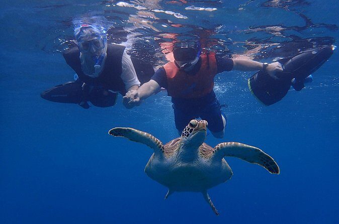 Turtle Beach Power Snorkeling Adventure - Who this tour suits best (and who might struggle)