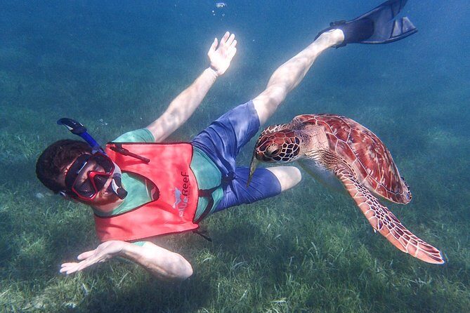 Under the Sea snorkeling(Stingray/Kayak/ Power Snorkel available) - Quick hits before you book